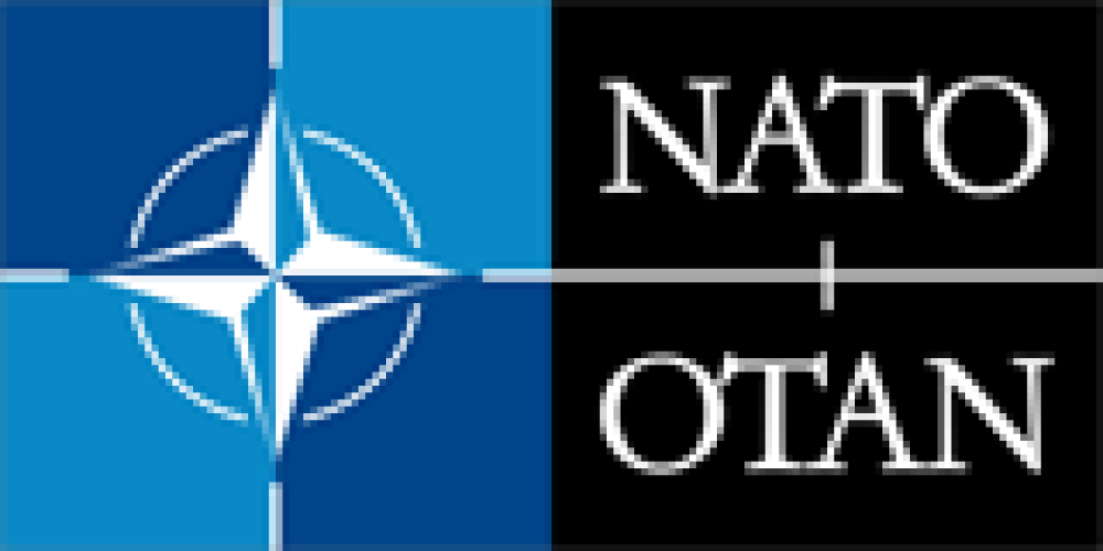 Określanie dawki i źródła promieniowania w sytuacji zagrożenia radiologicznego - NATO SPS