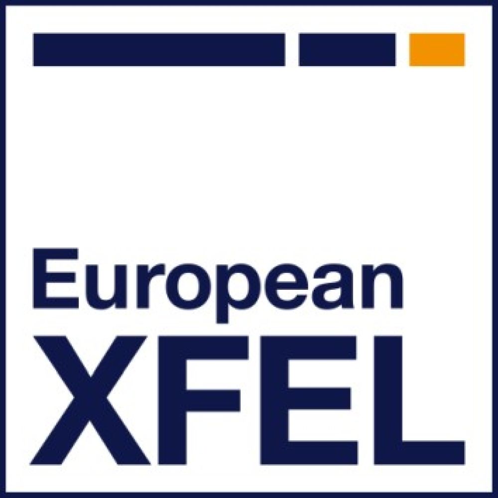 Wsparcie polskich użytkowników EuXFEL – Nadzór II (2022-26)