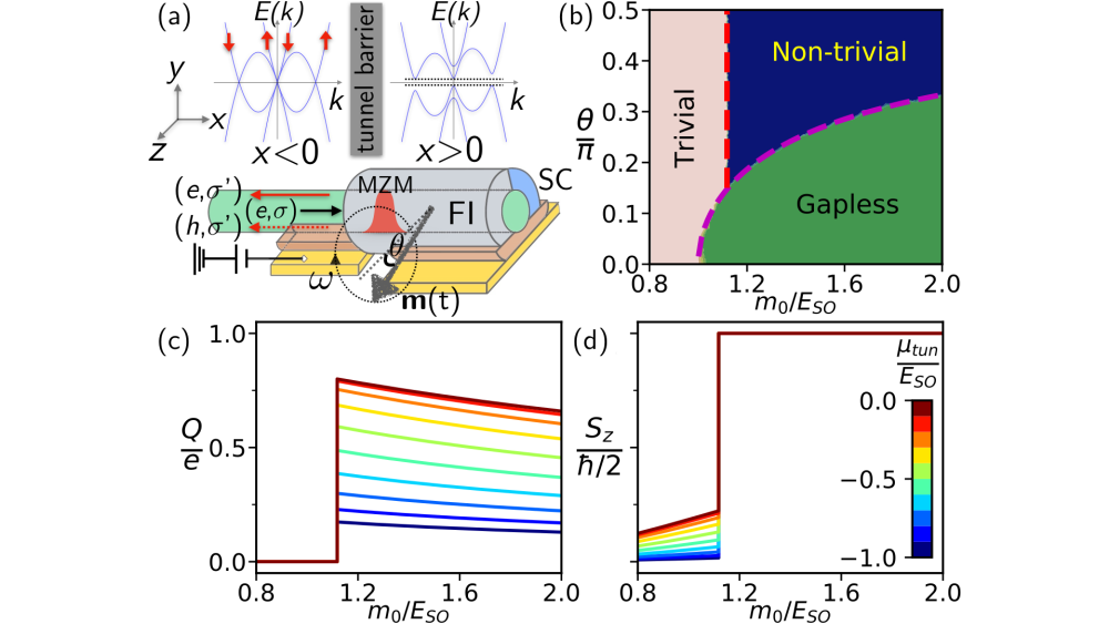 Quantized Spin Pumping in Topological Ferromagnetic-Superconducting Nanowires